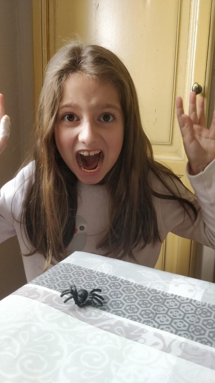 Charline et l'araignée velue!