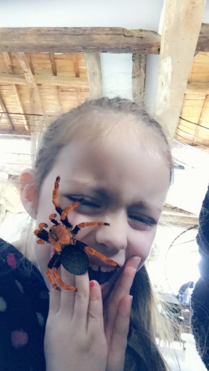 Charlyne et l'araignée rayée!