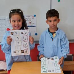 classer des ilages en ordre croissant, décroissant, sur une ligne verticale et horizontale