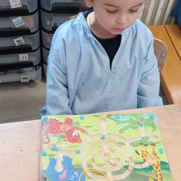 MS : déplacer des billes aimantées avec un stylo pour rendre chaque couleur de billes à l'animal correspondant;