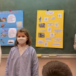 ALUMINIUM : Eva, Louise, Ernestine