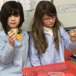 remplir des pots de graines de cousous et les classer de la plus remplie à la moins remplie;