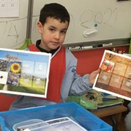 les saisons : classer des images selon les saisons;