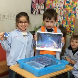 la piste de danse : apprendre à additionner les constellations de deux dés et de trouver le danseur portant le nombre correspondant.