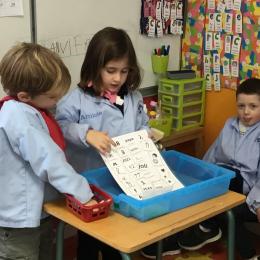 catégoriser : trier puis classer pour différencier signes, mots, lettres et nombres; 