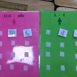 classer des actions pour dire si les personnages qui les exécutent sont "il" ou "elle" : travail sur les pronoms personnels, 