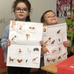 classser des animaux pour dire s'ils sont ovipares ou pas; 