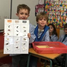 classer des animaux et les nommer selon s'ils ont des poils, plumes ou écailles;