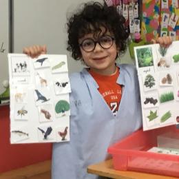 classer des images selon si ce sont des animaux (ils sont capables de se déplacer seuls) ou végétaux. 