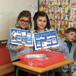 classer des animaux selon leur mode de déplacement : marchent, rampent, nagent ou volent; 