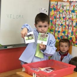 reconstituer des familles d'animaux : le mâle, la femelle, le bébé et le lieu de vie; 