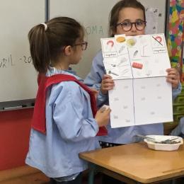 après manipulation d'objets, classer des images pour dire si les objets sont magnétiques ou pas; (il y a un autre atelier pour dire si les objets coulent ou flotent) 