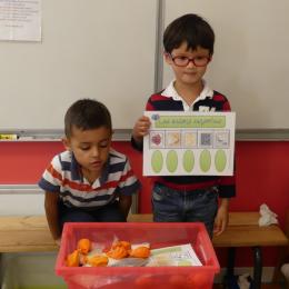 les textures : associer un sachet de graines, sucre, farine... à la photo correspondante,