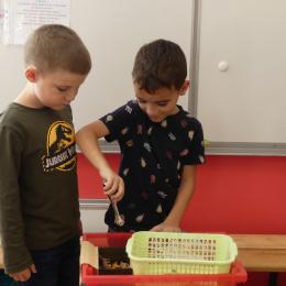 pince à sucre pour attraper des animaux pris dans une panière en dessous d'une toile d'araignée en fil : attraper les animaux pour les sortir de la panière; 