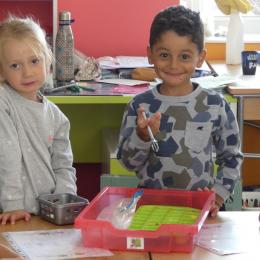pince à sucre trident pour attraper sans les écraser des flocons  de maïs et les mettre dans les alvéoles; 