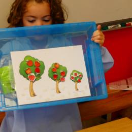 classer par ordre de taille; 